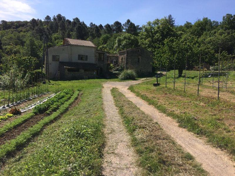 Deux Chambres D Hotes Attenantes Avec Salon Salle A Manger Privatif En Cevennes Gardoises Saint-Jean-du-Gard Exterior foto